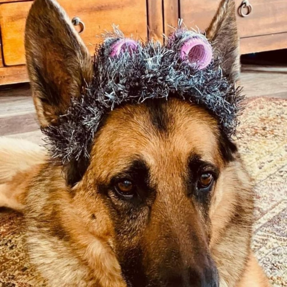 HAND CRAFTED Granny Hair Curlers Dog Hat Crochet Gray Hairy Costume